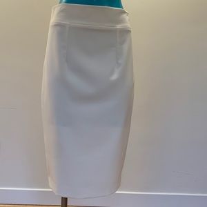 Skirt (NWOT)